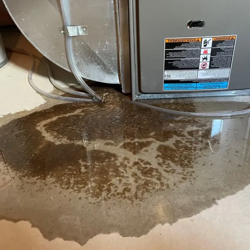 Pipe Burst and Leak Restoration in University Gardens, NY